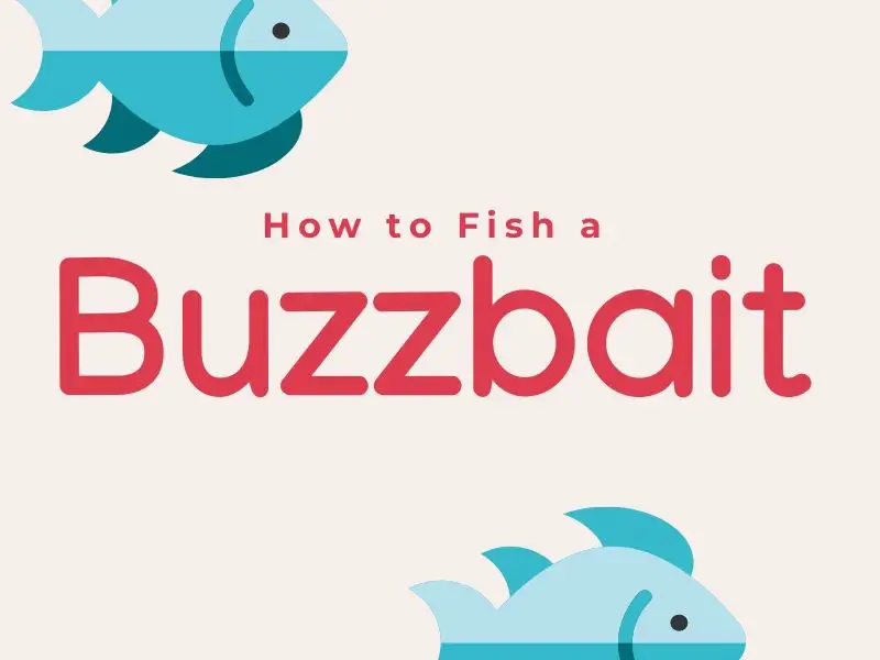 How to Fish a Buzzbait