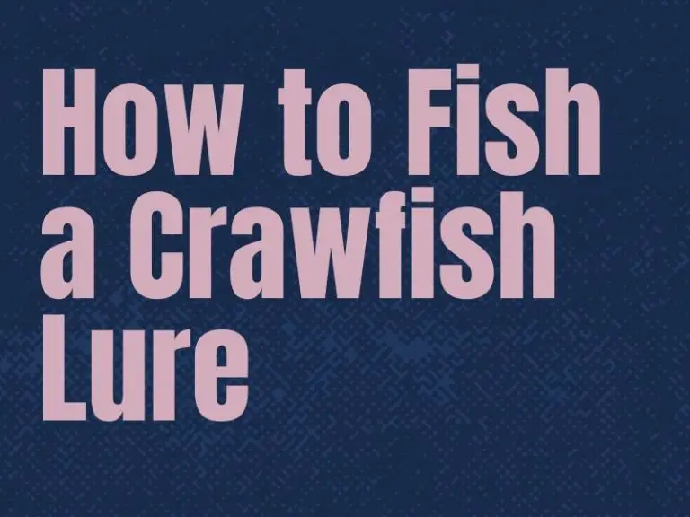 How to Fish a Crawfish Lure Fishing Tips