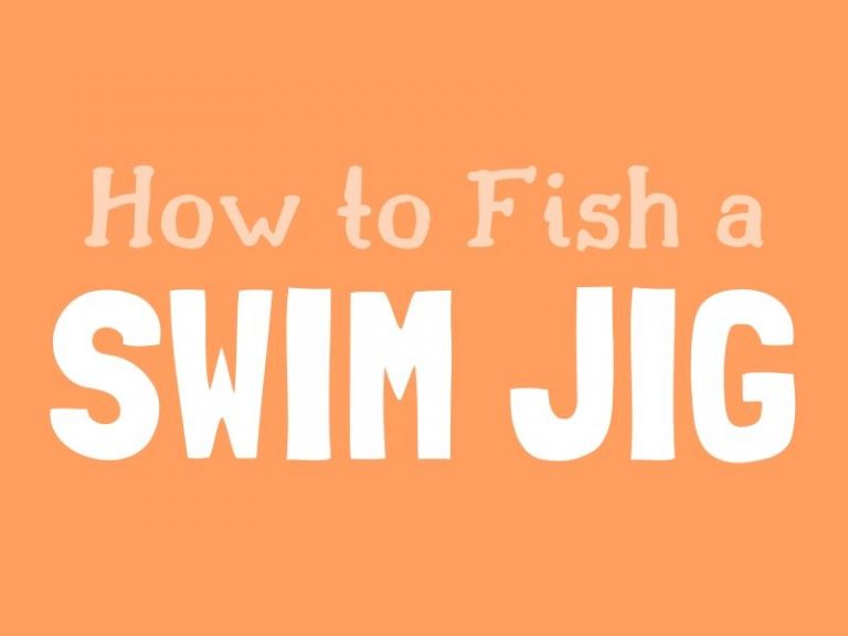 How to Fish a Swim Jig Fishing Tips
