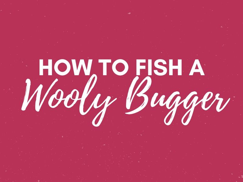 How to Fish a Wooly Bugger