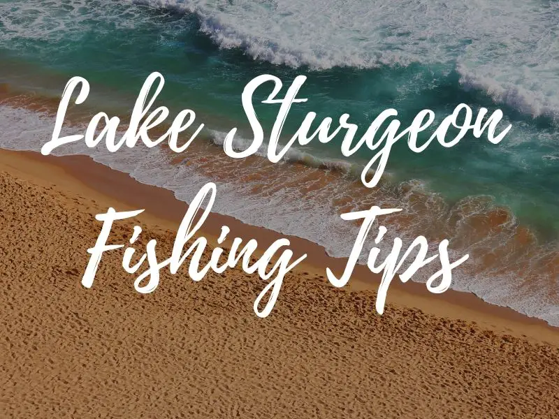 Lake Sturgeon Fishing Tips