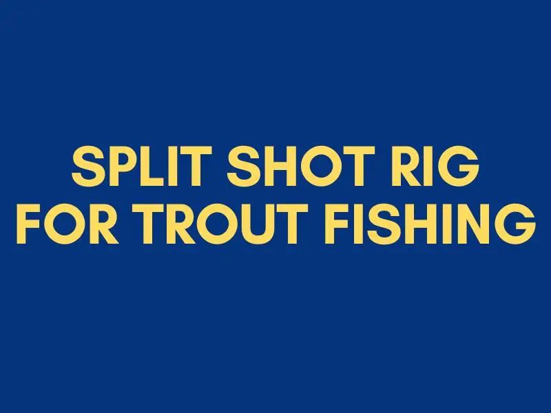 Split Shot Rig for Trout