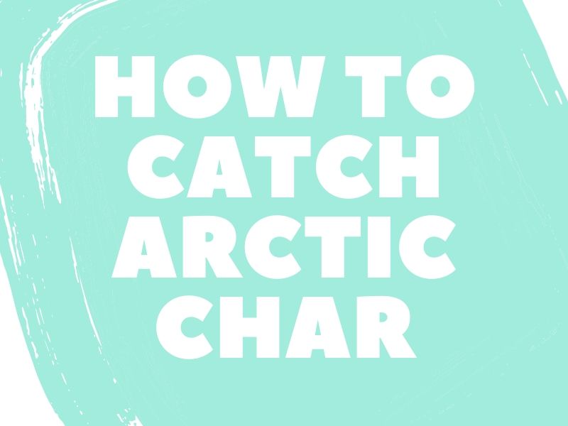 Arctic Char Fishing
