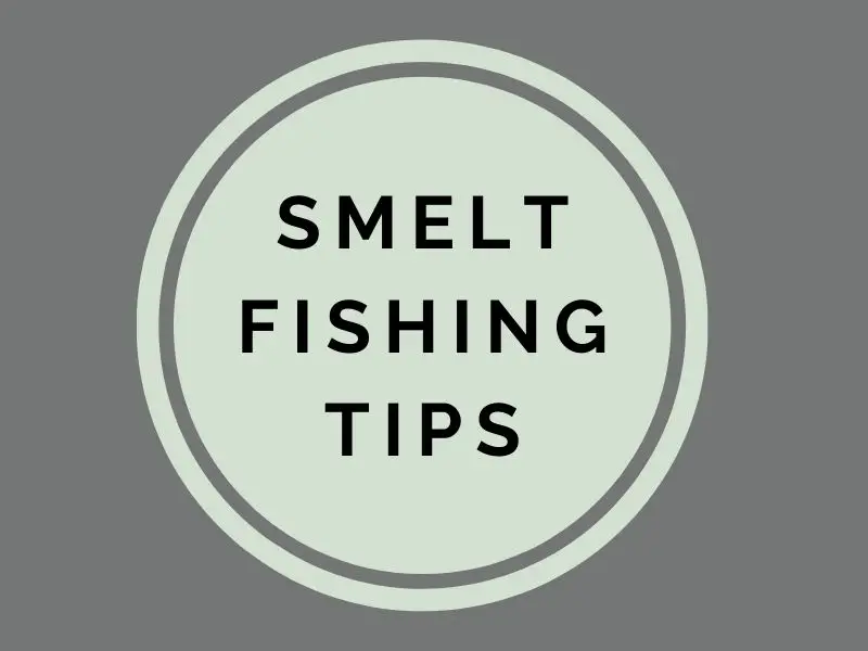 How to Catch Smelt