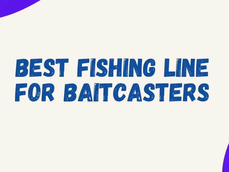 Baitcaster Fishing Line