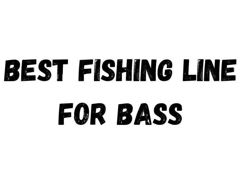 Bass Fishing Line
