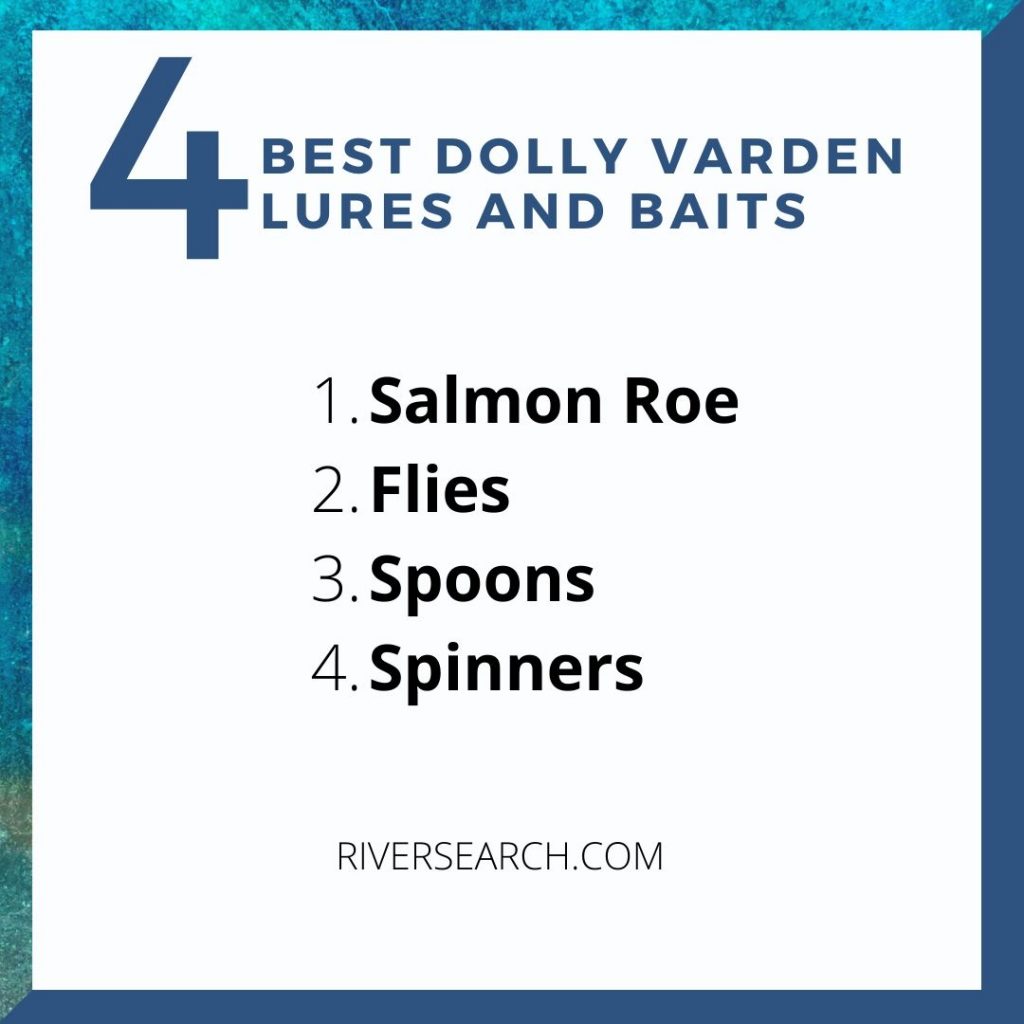 How to Catch Dolly Varden The Ultimate Guide