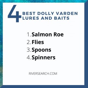 Best Dolly Varden Lures