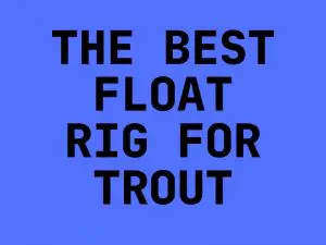 Best Float Rig for Trout