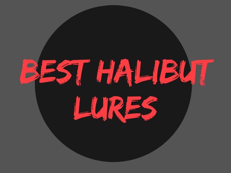 Best Halibut Lures