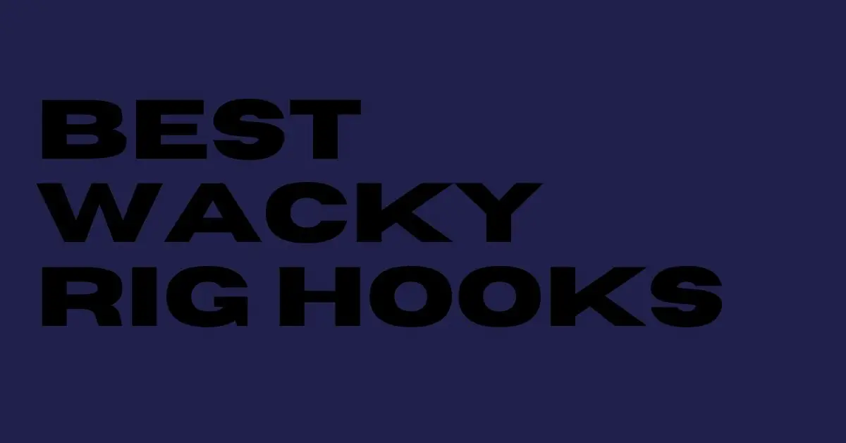 Best Wacky Rig Hook
