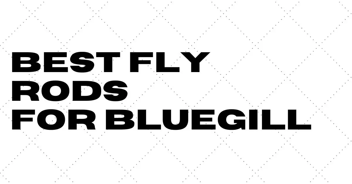 Bluegill-fly-rods