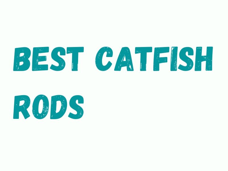 Catfish Fishing Rods