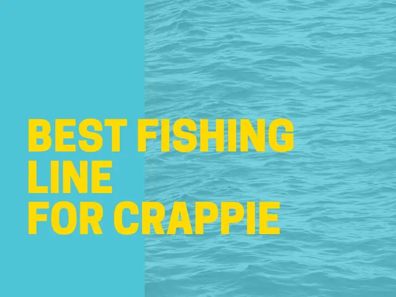 Crappie Fishing Line