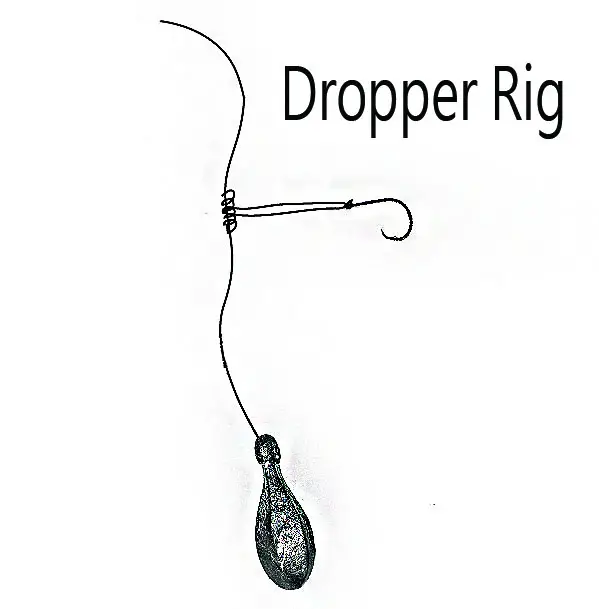 Dropper Rig