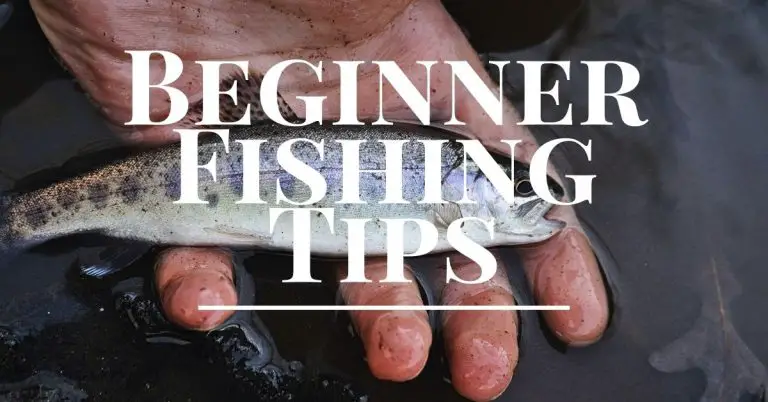 Fishing Tips for Beginners - The Ultimate Beginners Guide to Fishing