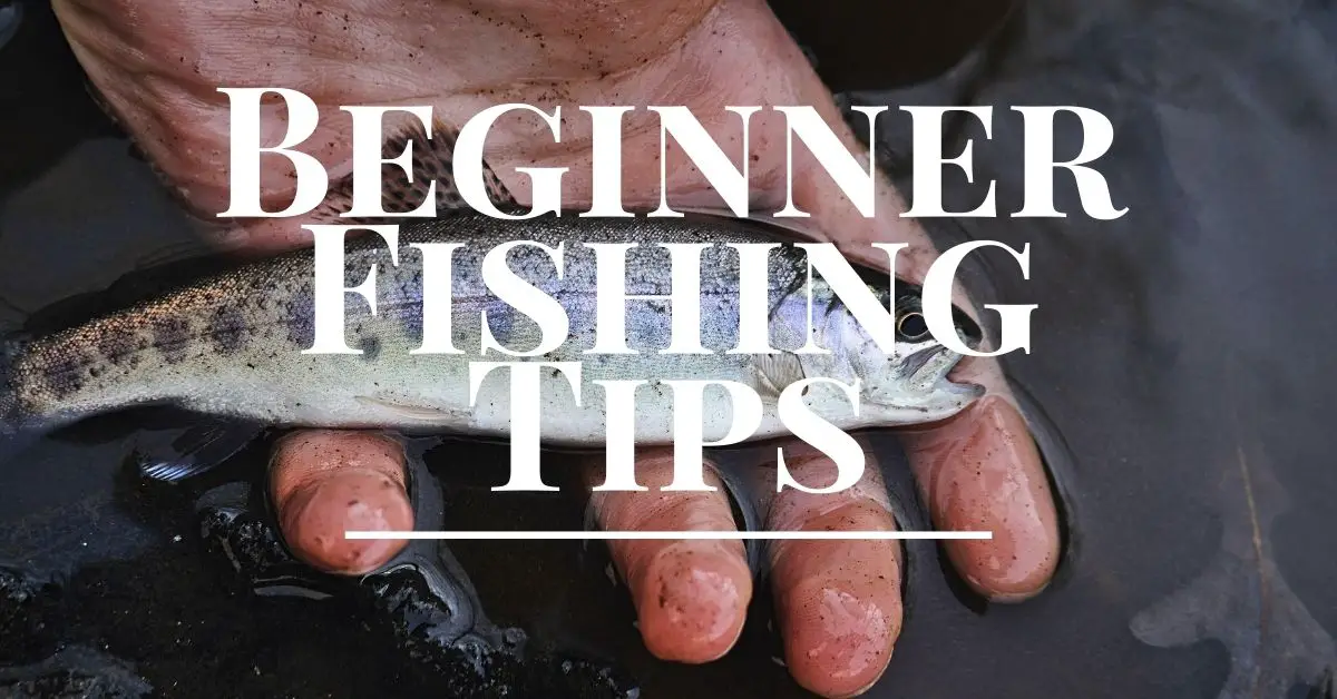 Fishing Basic tips