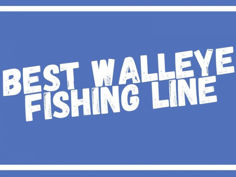 Best Fishing Line for Walleye Gear