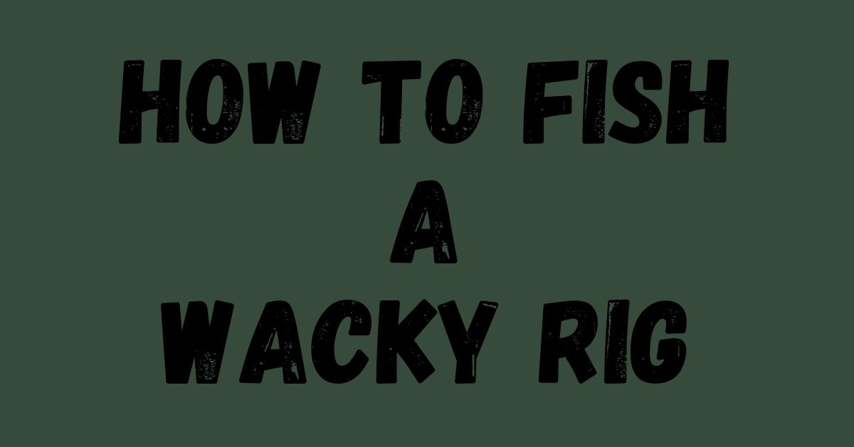 Fishing a wacky rig