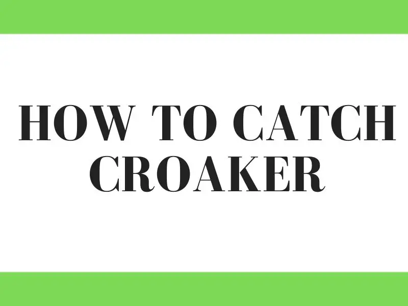 Fishing for Croaker