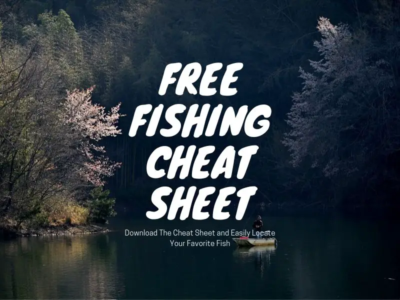 Free Fishing Cheat Sheet B