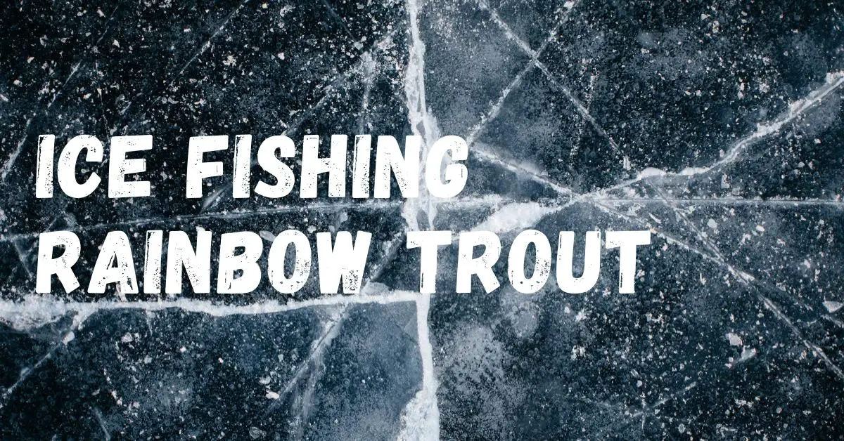 Ice Fishing Rainbow Trout