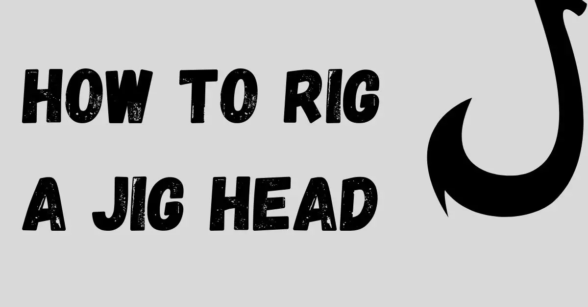 Jig head rigging