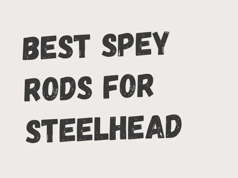 Steelhead Spey Rods