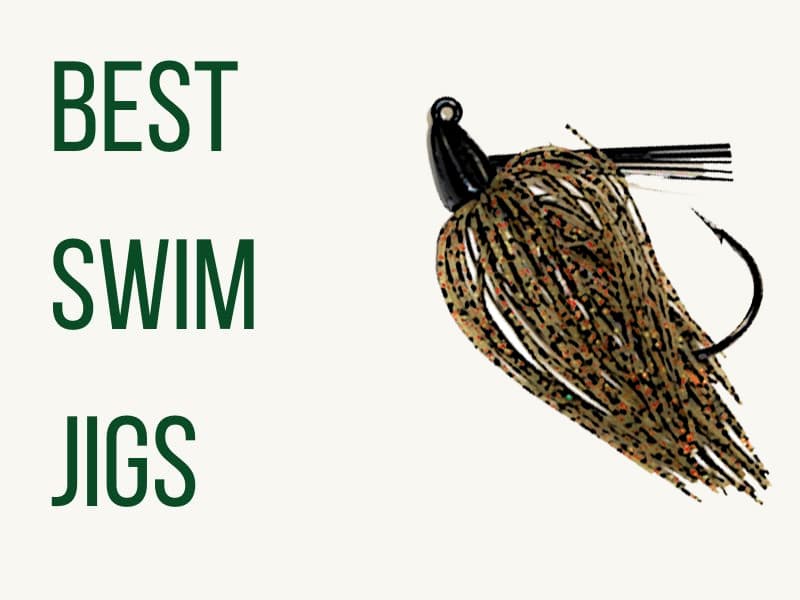 Swim Jigs for Bass Fishing