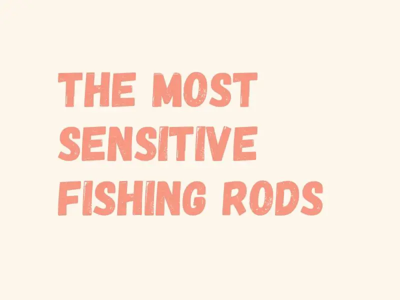 Sensitive Fishing Rods