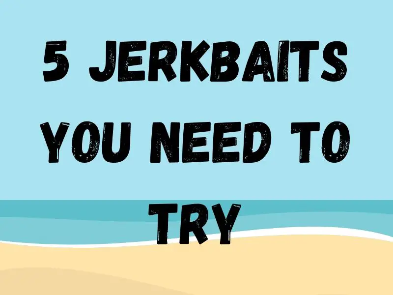 Top 5 Jerksbaits