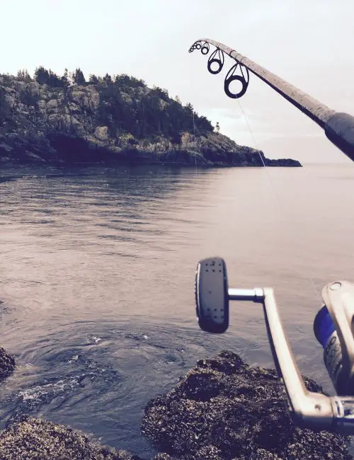 Fishing Rod Fishing Rod