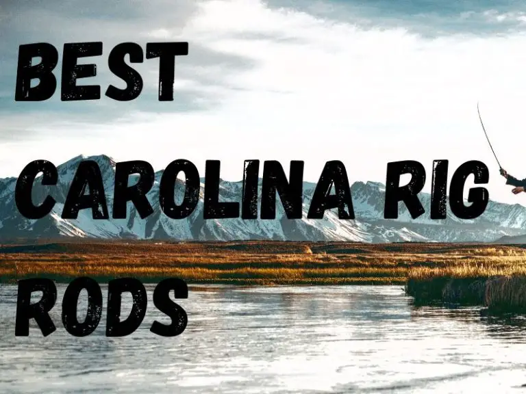 Best Carolina Rig Rod Top 3 Rods for Casting Carolina Rigs