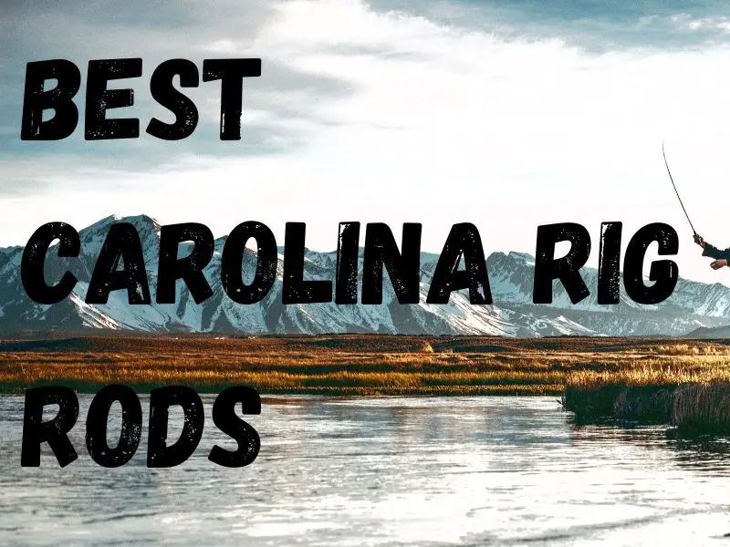 fishing rods for carolina rigs