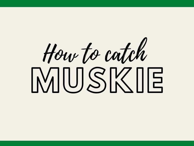 muskie-guide